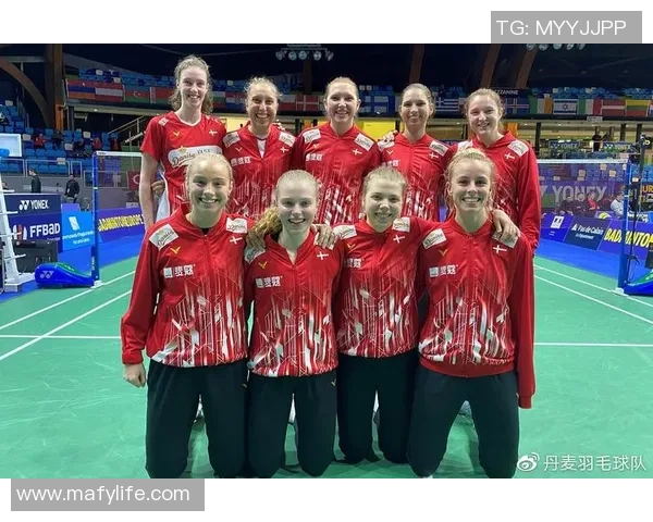 南京羽毛球队在欧锦赛中的精彩表现与力量分析